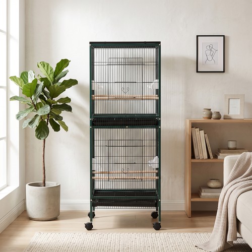 Grande cage oiseaux sur - grande,