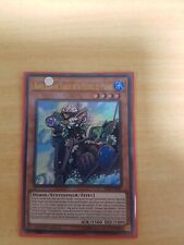 Barbe Blanche Casque de la