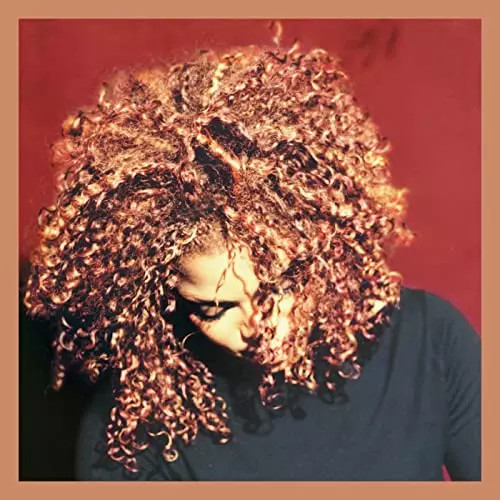 The velvet rope - velvet, jackson
