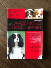 CHRISTIAN LIMOUZY - LE