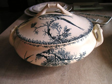 LEGUMIER - PORCELAINE OPAQUE