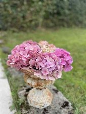 JARDINIERE VASE MEDICIS EN FONTE BEIGE HAUTEUR 26 CM DIAMETRE 27 CM