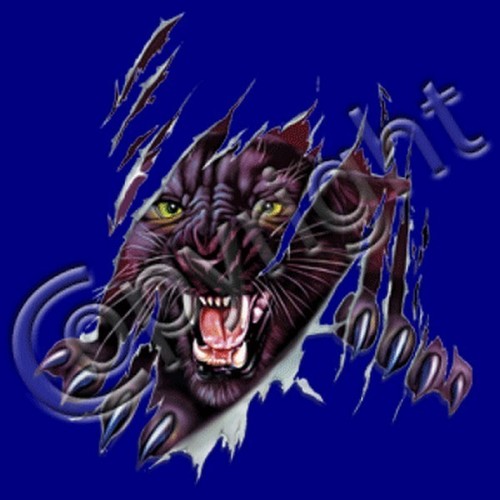 Rip out panther shirt - rip,