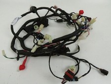 FAISCEAU ELECTRIQUE GENERIC CRACKER 2017-2018 / NE 16880