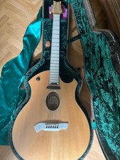 guitare Parker P10EN 