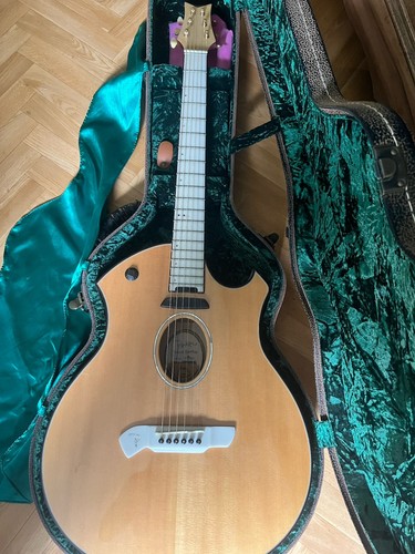 Guitare parker p10en - parker,