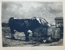 ABREUVOIR Gravure EAU FORTE