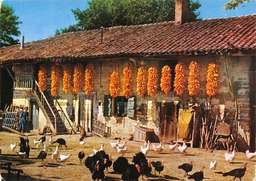71-FERME