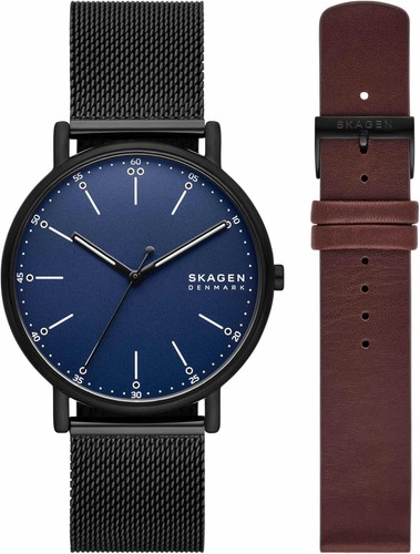 Montre skagen pour - skagen, homme