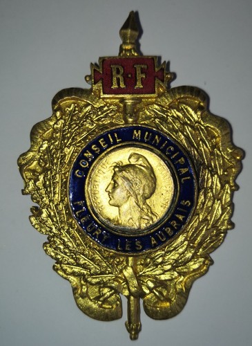 Insigne conseil municipal