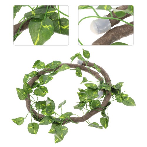 Décoration pour terrarium - décoration,