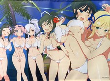 Ensemble de tapisseries (6 personnes) tapisserie W daim B2 "Senran Kagura...