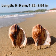 Majeur Harpe Naturel Mer