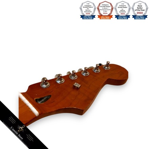 Fender stratocaster manche - fender,