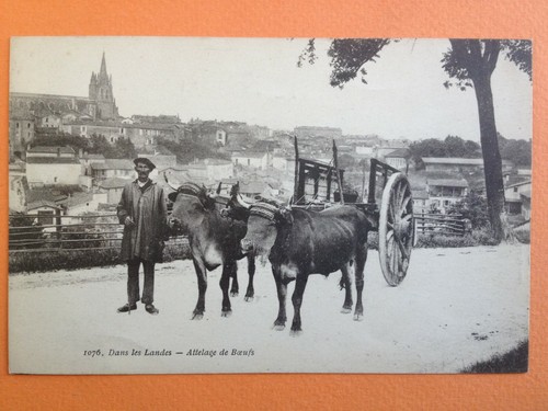 Cpa langon landes - cpa, Échasse