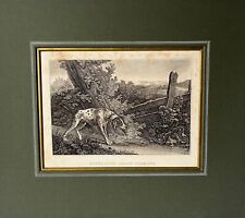 Gravure sur Cuivre Ridinger Baroque Chien de Chasse Debout Devant Einem Lapins
