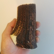 264.CORNE DE CERF ROUGE