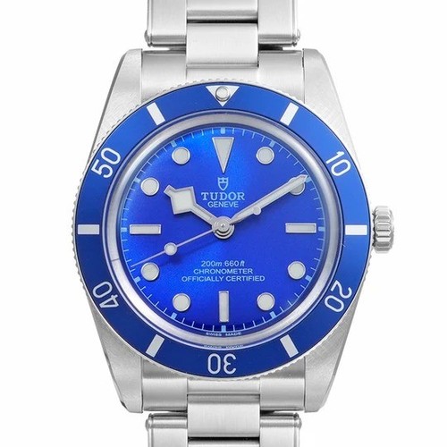 Tudor black bay réf 79000b - tudor,