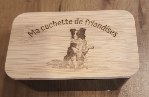 Boite friandise pour chien - boite,