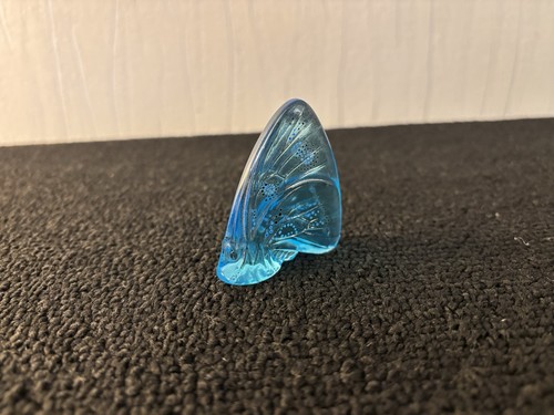 Papillon bleu turquoise - , en