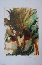 Salvador dali les chevaux - dali,