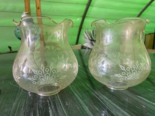 Paire globes tulipes verre - globes,