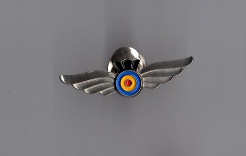Pin armée insigne troupe - /,