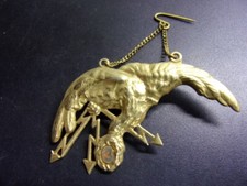 Aviation Pologne . Brevet