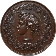 X3729 Rare Médaille Hommage