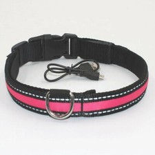 Collier pour chien tous types