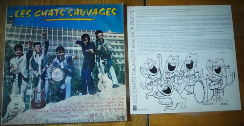 Les chats sauvages - chats, avec
