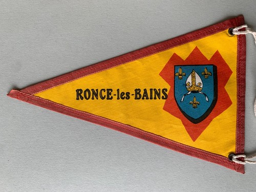 Fanion ronce les bains - les,