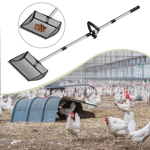 Pelle déjections poules - à, de