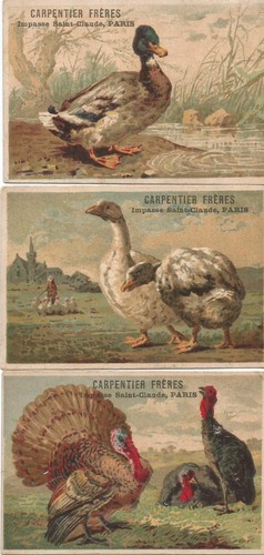 Anciens chromos oiseaux - chromos,
