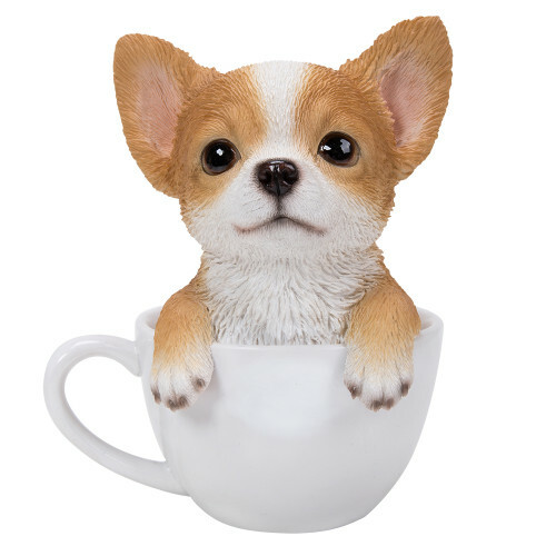 Unique rare chihuahua teacup - chihuahua,