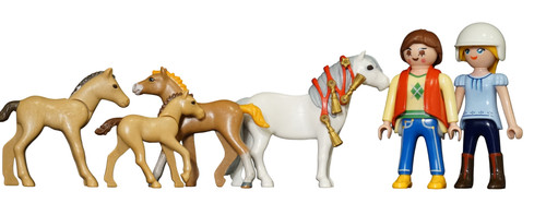 Playmobil poulain poney