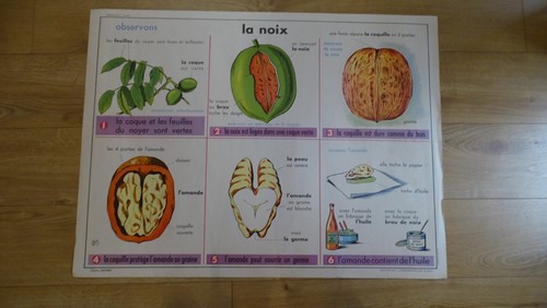 Sciences vintage ancienne - sciences,