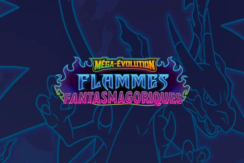 Carte pokemon fr - pokemon, flammes