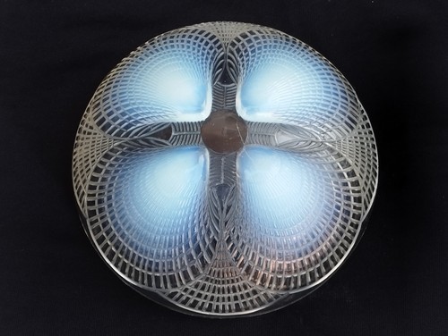 Coupe modele coquille - , design
