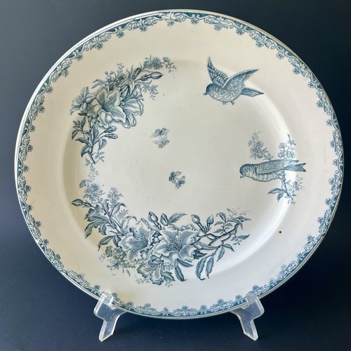 Grand plat bengali oiseaux - grand,