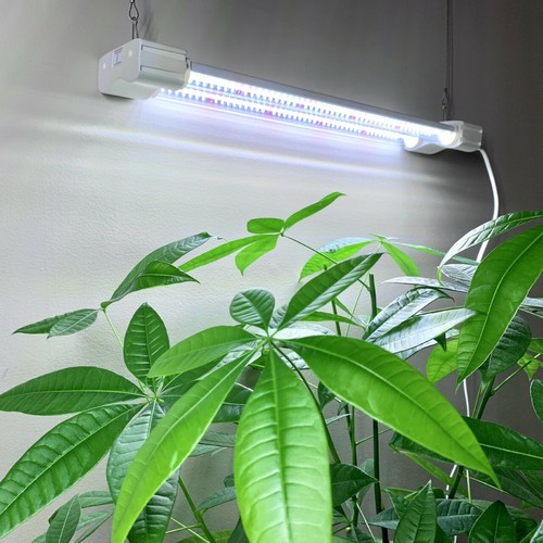 Led grow light 2ft seedlings - grow,