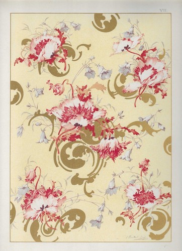 Pavot chromolithographie par - chromolithographie,