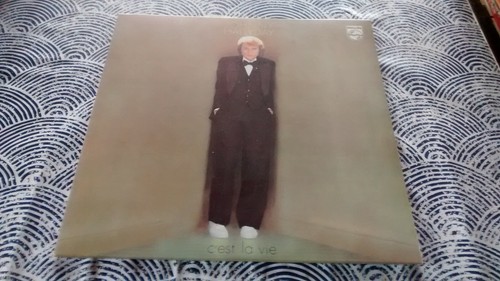 Vinyle johnny hallyday - vinyle,