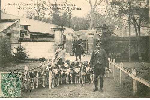 Aisne foret coucy basse - aisne, de