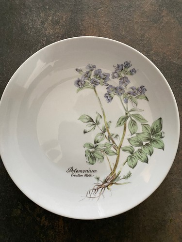 Lot x10 assiettes winterling - lot,