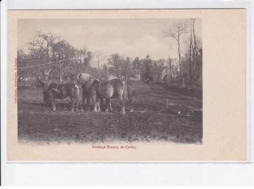 Corlay attelage breton - corlay:,