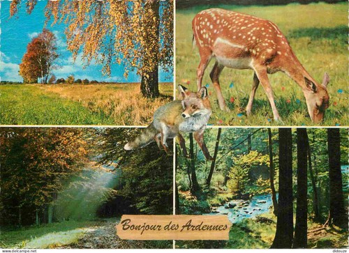 Carte postale belgique - -,