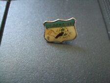 PINS FOOT FOOTBALL L ORANAISE  ORAN ALGERIE AOBR  