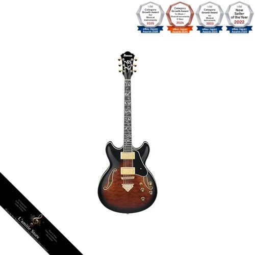 Guitare semi acoustique ibanez - guitare,