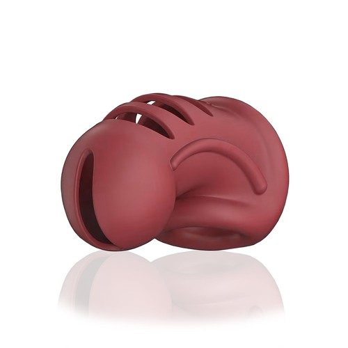 Sextoy fetish cage pénis - fetish, à